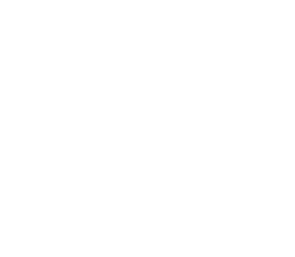 Steer